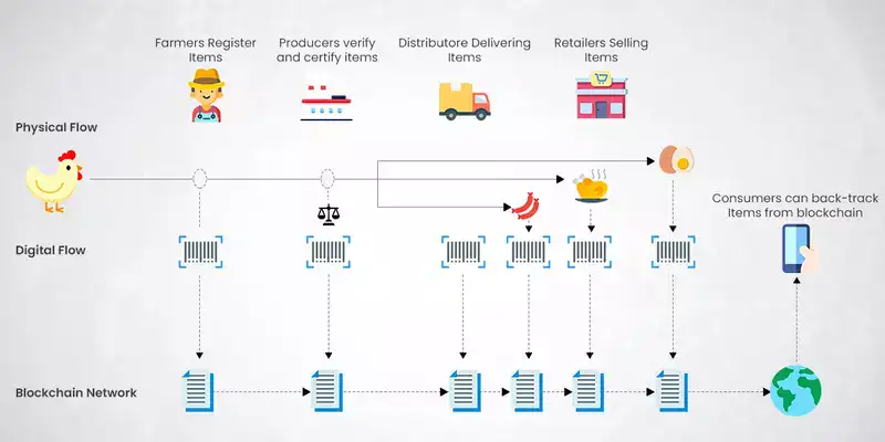  supply chain network