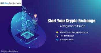 Start Your Crypto Exchange Business