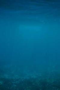 Mastering DAO Development for Scalable Blockchain Solutions