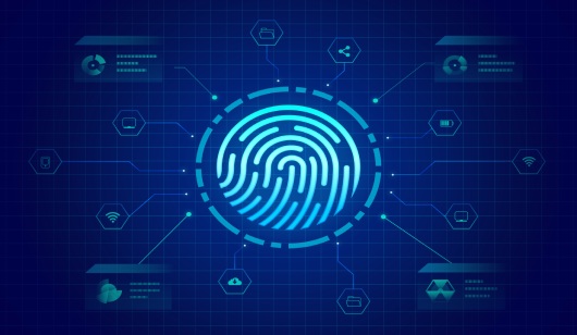 Brazil Digital ID Blockchain