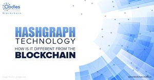 Hashgraph Decentralized ledger