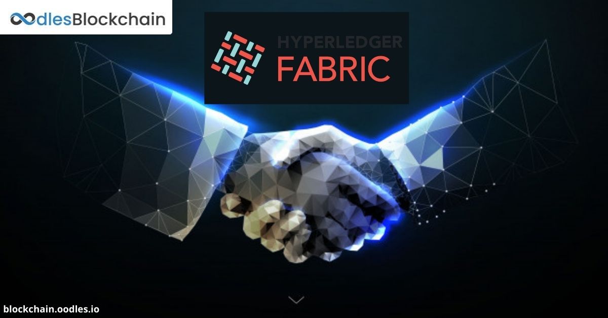 hyperledger fabric development