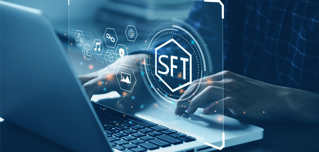 Semi-Fungible Token (SFT) Development