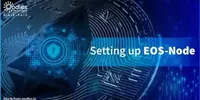 Setting up EOS Node