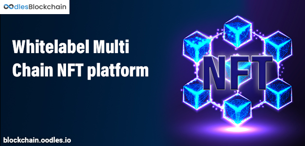 Whitelabel Multi Chain NFT