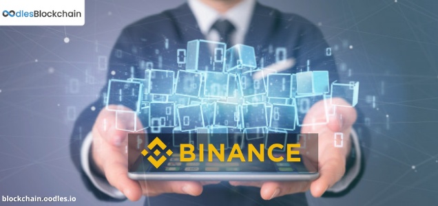 binance smart chain development