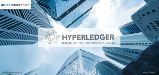 hyperledger blockchain use cases for business (2)