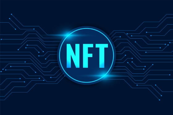 NFT Wallet Development